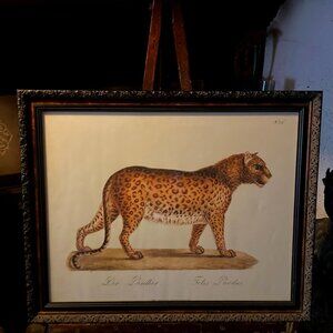 Antique Print Panther Print Der Panther Rose Selavy Ltd London England